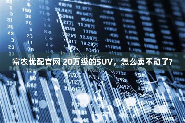 富农优配官网 20万级的SUV，怎么卖不动了?