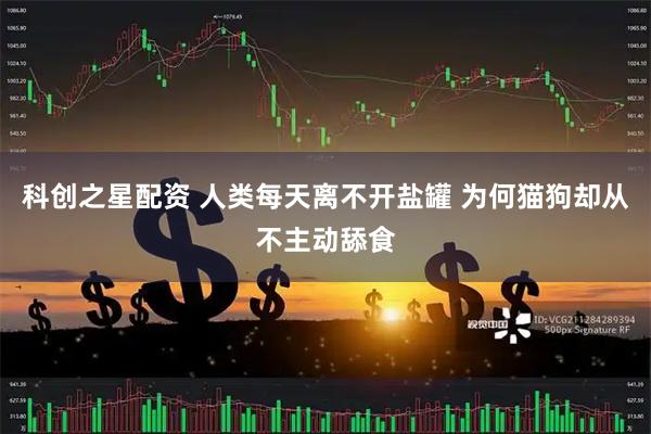科创之星配资 人类每天离不开盐罐 为何猫狗却从不主动舔食