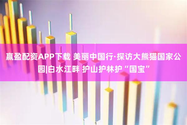 赢盈配资APP下载 美丽中国行·探访大熊猫国家公园|白水江畔 护山护林护“国宝”