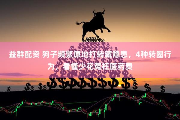 益群配资 狗子频繁原地打转藏隐患，4种转圈行为，看懂少花冤枉医药费